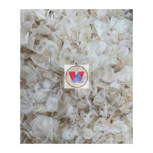 Écaille de poisson cru de haute qualité en vrac avec un prix bon marché pour l'extrait de collagène // écailles de poisson séchées 2024 - Product Image 5