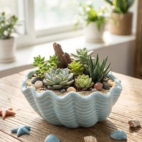 Prix de Gros Négociable Pot de Fleurs en Céramique Personnalisé, Vases et Jardinières en Forme d'Étoile de Mer, Vases à Succulentes en Céramique, Petits Pots de Fleurs