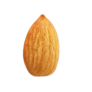 100% noix et noyaux naturels de haute qualité 10-20 kg d'Ouzbékistan nettoient les amandes non décortiquées pour la nourriture Snacks à vendre - Product Image 1