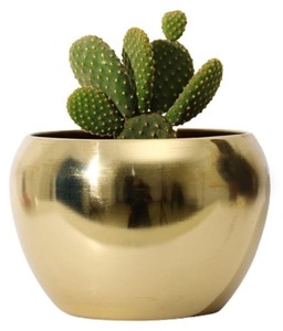 New Hot Selling Gold silver Metal Planter pot for Home Decor Living Space Plant Pot for Indoor Festive Gift Home Balcony Decor - Product Image 6