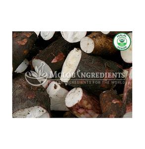 Extracto de Algarrobo Orgánico en Polvo, Suplemento Natural a Base de Plantas para la Salud Digestiva, Desintoxicación Suave, Apoyo Energético y Bienestar de la Piel - Product Image 3