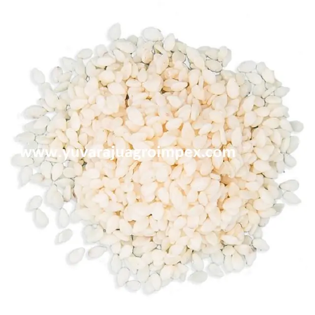Qualidade superior mundial de sementes de gergelim descascadas brancas/ Sesame indicum Exportações para todos os países do Golfo da Índia