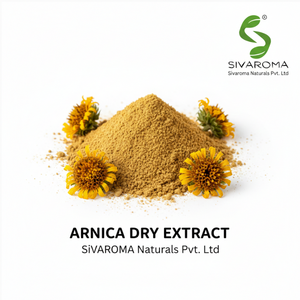 Poudre d'extrait d'arnica haute performance pour les unités de fabrication de produits de soin et de cosmétiques - Product Image 2