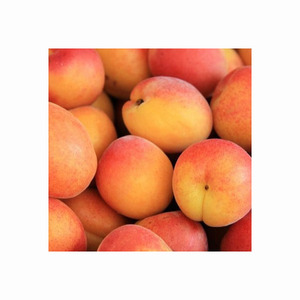 Abricots séchés naturels 100% jaunes de qualité supérieure, goût sucré, grande taille, en vrac, traités par procédé AD - Product Image 3