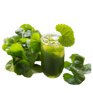 ผงใบเพนนีเวิร์ตแห้ง สำหรับทำน้ำผลไม้ ชา สมูทตี้ และการแปรรูปอาหาร - Product Image 1