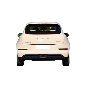 2024 Good Cat Mini EV Coches Eléctricos Deportivos 401km para Adultos en perfecto estado listos para enviar - Product Image 3