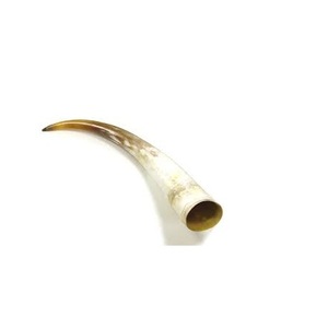 Cuerno decorativo de búfalo de lujo con borde de latón y Cuerno decorativo de búfalo y vaca moderno superior a precio competitivo - Product Image 4