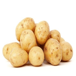 2024 nouvelle culture pommes de terre fraîches egypte pommes de terre fraîches de qualité supérieure haute nutrition certifié pommes de terre blanches et rouges fournisseur en gros - Product Image 4