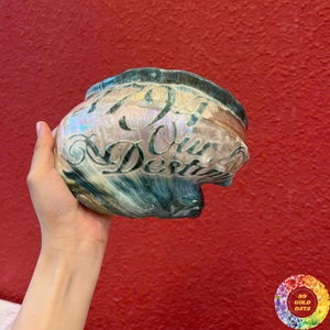 Grande coque Turbo Marmoratus pour décoration d'aquarium Intérieurs à thème côtier Exportation Acheteurs au détail-Caryln - Product Image 4