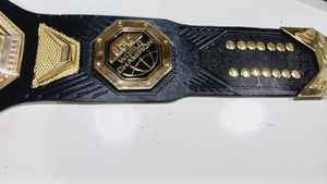 Cinturones de campeonato personalizados Trofeos Medallas y premios El símbolo definitivo de Victoria y excelencia Cinturones de Campeonato - Product Image 5