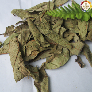 Hojas de Guayaba Secas Premium de Vietnam Hechas con Material Secado al Sol Natural para Mezclas de Té y Producción de Infusiones Alimentarias - Product Image 4