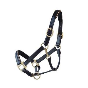 Licol de cheval en cuir de qualité supérieure bandeau de nez rembourré doux sangle de cou durable licou d'équitation réglable confortable - Product Image 2