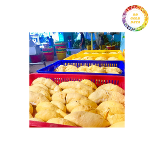 Fruta Durian congelada de alta calidad de Vietnam Género superior Premium de frutas congeladas - Product Image 3