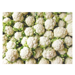 Coliflor Fresca en Venta - Product Image 3