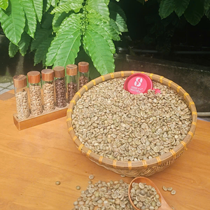 Granos de café Robusta de alta calidad, suministro a granel de tueste verde, exportación al por mayor desde Vietnam, suministro directo - Product Image 1