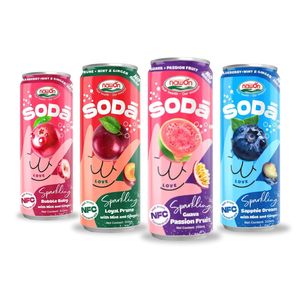 Jugo de Frutas con Jugo de Granada 320ML NAWON, Bebida Carbonatada Enlatada, Bebidas Vietnamitas, Bebidas Refrescantes - Product Image 1