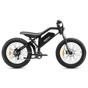 Vélo Électrique Tout-Terrain Industriel DIY OEM MEE-D XT600 D L avec Moteur Double 1200 W en Acier/Aluminium et Batterie de Rechange – Garantie 3 Ans - Product Image 3