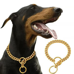 <span class=keywords><strong>Collar</strong></span> para Perro Qbellpet, Nuevo Modelo, Cadena de Acero Inoxidable de 10 mm de Ancho, <span class=keywords><strong>Collar</strong></span> de <span class=keywords><strong>Metal</strong></span> para Pasear Perros, Color Oro Rosa, Resistente a Mordeduras - Product Image 1