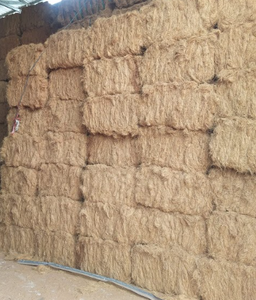 Fibra de Coco Natural de Vietnam con Control de Calidad Superior para Exportación a Mercados Industriales Globales - Product Image 4