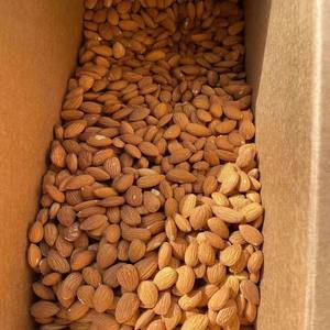Vente en gros de noix d'amandes Emballage personnalisé disponible 1kg, 5kg, 10kg ou tonnes en vrac pour les détaillants, les distributeurs et les robots culinaires - Product Image 6
