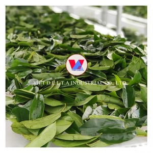 Fournisseur en vrac de soursop du Vietnam-Le soursop vietnamien de haute qualité part du Viet Nam 100% Naturel et bas prix - Product Image 2