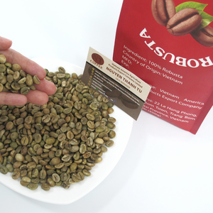 Café Robusta biologique du Vietnam S16 S18, traitement à sec, qualité supérieure, marques personnalisées, prêt pour les offres d'exportation en gros - Product Image 4