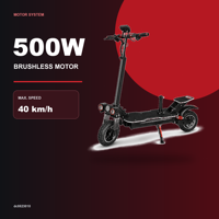 Trottinette électrique pliable 500W avec batterie 48V 10.4Ah, pneus tout-terrain de 10 pouces, freins à disque doubles