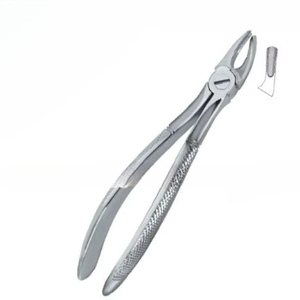 Forceps d'extraction dentaire manuels de qualité supérieure, personnalisables avec logo, certifiés CE, en acier inoxydable, modèle Fig.39, instruments dentaires - Product Image 6