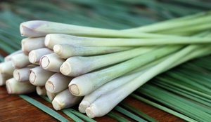Feuilles de citronnelle séchées en tranches OEM du Vietnam |   Arôme naturel pour le thé, le bouillon et les assaisonnements |   VIET DELTA |   Exportation en gros 2025 - Product Image 6