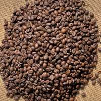 Grains de café robusta et arabica torréfiés de qualité supérieure du fabricant ODM Vietnam qualité de torréfaction moyenne dans chaque emballage Sip-Bag