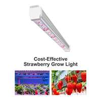 Barre lumineuse LED GE35 pour culture verticale de fraises, en aluminium, à spectre personnalisé, dimmable, pour usine de culture, CRI 90 élevé