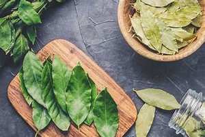FEUILLES DE BAIN ENTIÈRES NATURELLES SÉCHÉES POUR UNE CUISSON PROPRE ET UN SOUTIEN BIEN-ÊTRE - Product Image 3