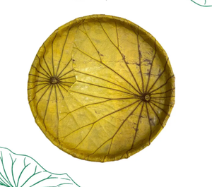 Bandeja de almacenamiento de hojas de loto ecológica hecha a mano, organizador natural de Vietnam - Product Image 1