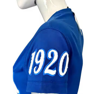 Finer chenille เสื้อยืด Zeta phi Beta sorority ผ้าฝ้ายนิ่มปักประกายสีเงินมีสไตล์ใส่สบายเครื่องแต่งกายกรีกคลาสสิก - Product Image 3