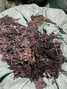 สาหร่ายทะเลซาร์กัสซัมแห้งเกรดพรีเมียม – สาหร่ายทะเลสีน้ำตาลเกรดส่งออกจากเวียดนาม สำหรับใช้ในอาหารและอุตสาหกรรม - Product Image 3