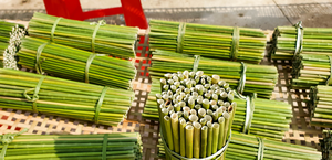 หลอดดูดหญ้าธรรมชาติในเวียดนามหลอดดื่มหญ้าเป็นมิตรกับสิ่งแวดล้อมสำหรับคาเฟ่ร้านอาหารใช้ในบ้าน - Product Image 5