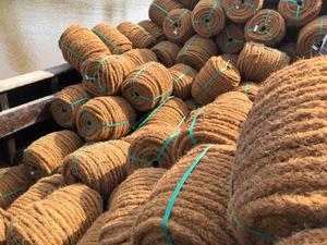 Supplying of <b>Jute</b> Rope Natural Coco Coir Rope Twisted Coir <b>Fiber</b> Rope With Cotton Yarn for Making Mat/Pad & <b>Jute</b> Handicraft - Product Image 3