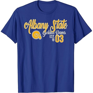 Camiseta transpirable personalizada de la Universidad Estatal de Albany HBCU ropa de equipo universitario para camiseta informal de verano al por mayor - Product Image 5