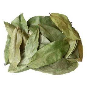 Las hojas secas de Guanábana de Vietnam se encuentran ahora entre los productos agrícolas más vendidos - Product Image 3