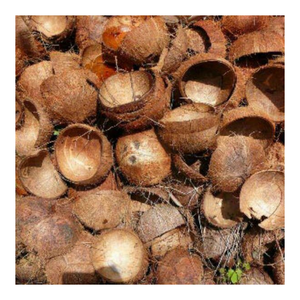 Suministro directo de fábrica de cáscara cruda de Coco para carbón, artesanía creativa, decoración del hogar y el Jardín-Pedidos a granel flexibles disponibles - Product Image 3