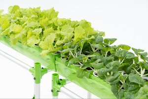 Aquaponics กลางแจ้งการเลี้ยงปลาและระบบไฮโดรโปนิกส์ชุดชั้นเดียวสองชั้นขนาดใหญ่ - Product Image 4