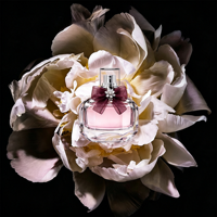 Parfum féminin luxueux, longue tenue, aux notes fruitées et florales, idéal pour les soirées romantiques, eau de parfum, vaporisateur, parfum en gros, cadeau