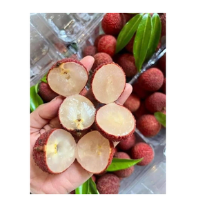 ลิ้นจี่แช่แข็งเกรดพรีเมียม | ส่วนผสมผลไม้ธรรมชาติสำหรับการส่งออก - Product Image 1