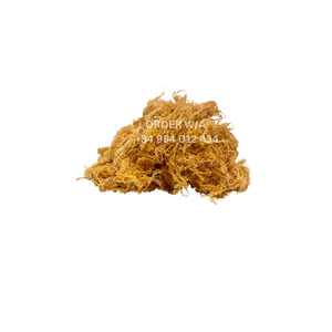 Musgo de mar irlandés de grado Superior 100% Natural Wildcrafted tostado seco a un precio razonable preparado para envío 2024 - Product Image 2