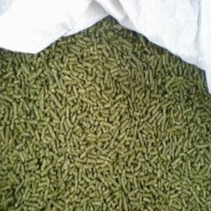 Granulés d'alfalfa pour l'alimentation des chevaux, bovins, porcs, poissons et chiens - Emballage en vrac, durée de conservation de 24 mois - Product Image 4