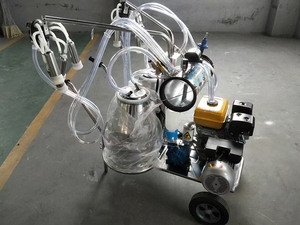 Machine à traire les vaches mobile à moteur essence avec pompe à vide et configuration à seau simple ou double en acier inoxydable - Product Image 2