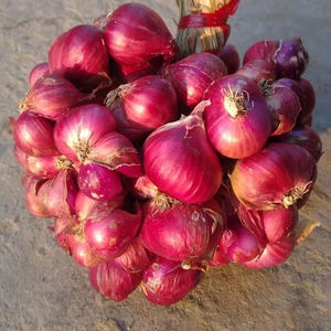 หอมแดงแช่แข็ง | รสหอม | เทคโนโลยี iqf - Product Image 1