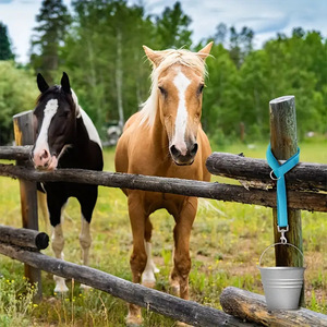 Sangles de fixation réglables pour seaux d'alimentation, filets à foin et mangeoires pour chevaux et bétail, avec crochets, pour paniers d'alimentation et cordes de suspension agricoles - Product Image 4