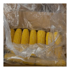 Maíz congelado de primera calidad dulce y jugoso, conveniente para cocinar rápidamente, conserva el color natural y el sabor fresco directamente de la granja - Product Image 6