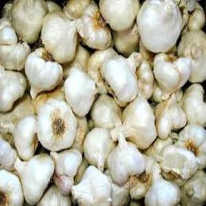 Wholesale China <b>Fresh</b> <b>Garlic</b> of Good Quality Size 4.0-7.0 cm - Product Image 3